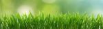 item 34245 image thumbnail