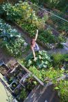item 91311 image thumbnail
