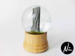 item 40165 image thumbnail