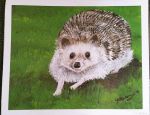 item 46638 image thumbnail