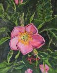 item 63063 image thumbnail