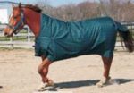item 37820 image thumbnail