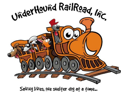 logo.jpg