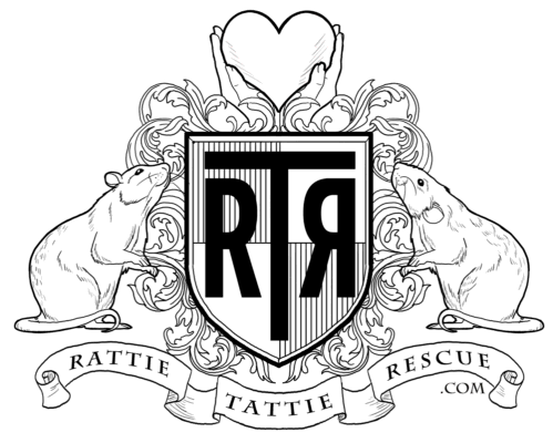 rtr-logo.png